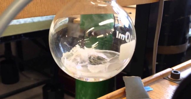 7 kiến thức khoa học siêu thú vị mà chúng ta đã bỏ lỡ khi ở trường