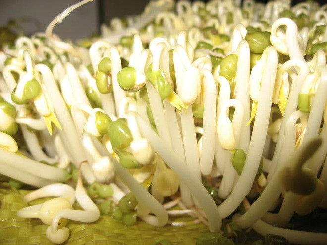 Những loại thực phẩm tuyệt vời giúp chống táo bón