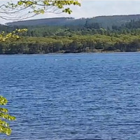 Video: "Bướu lưng" nhô trên mặt nước nghi thuộc về quái vật Loch Ness