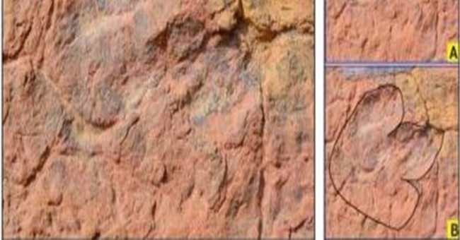 Phát hiện dấu chân khủng long 150 triệu năm