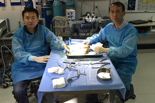 Bác sĩ Xiaoping Ren (phải) cùng một đồng nghiệp trong phòng thí nghiệm đang nghiên cứu giải phẫu học một cái đầu khỉ. 