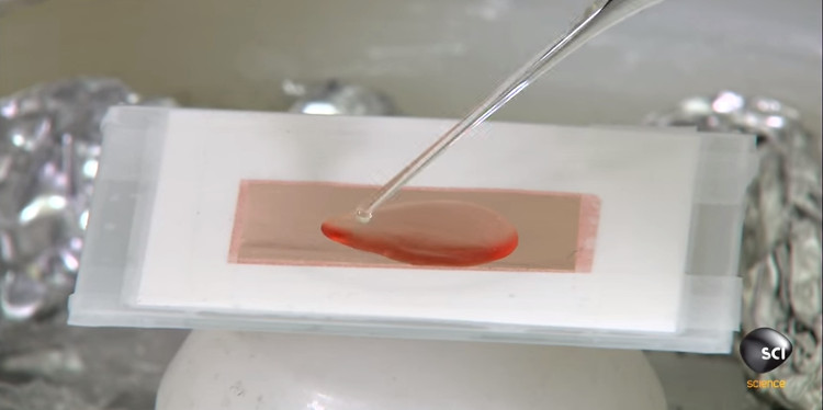 Đặc tính "tàng hình" của graphene có được nhờ sự trợ giúp của các vật liệu khác.