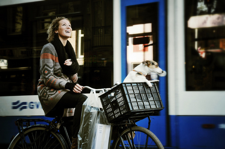 Những sự thật điên rồ về Amsterdam