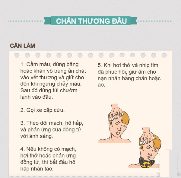 Sơ cứu đúng nạn nhân bị chấn thương đầu, ngất xỉu, đuối nước và vết cắn