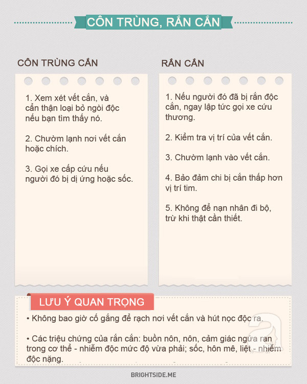 Sơ cứu đúng nạn nhân bị chấn thương đầu, ngất xỉu, đuối nước và vết cắn
