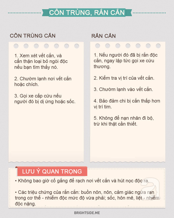 Khi bị côn trùng cắn, cần xem xét vết cắn và cẩn thận loại bỏ ngòi độc nếu bạn tìm thấy nó.