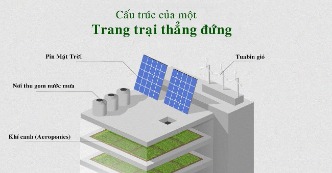 Ưu điểm của nông trại gieo trồng thẳng đứng