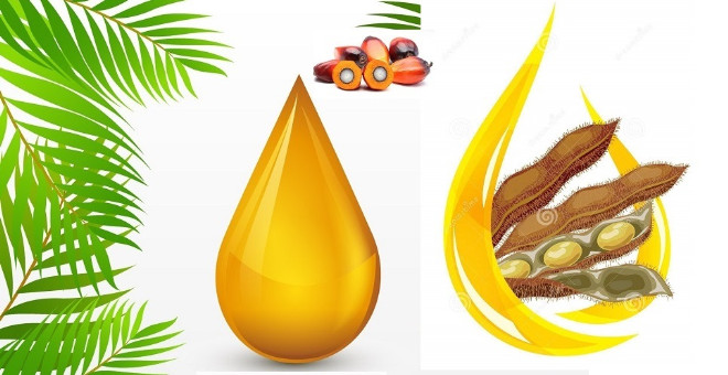 Tại sao phải trộn dầu cọ với các loại dầu ăn khác