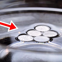 Tìm hiểu trò ảo thuật siêu thú vị: Làm đồng xu nổi lên trên mặt nước