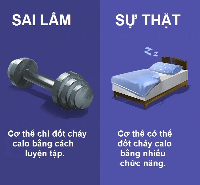 15 quan niệm sai lầm về ăn uống bạn không nên tin