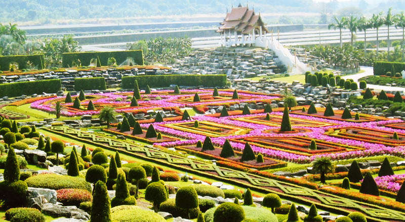Lặng ngắm 