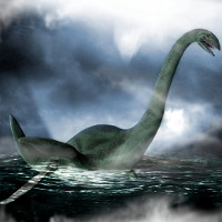 Xác động vật dạt vào bờ Loch Ness, nghi là quái vật huyền thoại