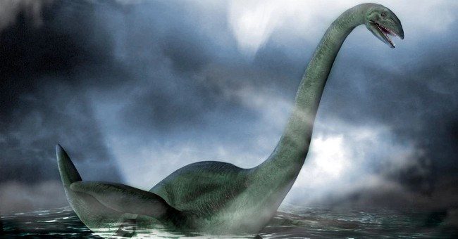 Xác động vật dạt vào bờ Loch Ness, nghi là quái vật huyền thoại
