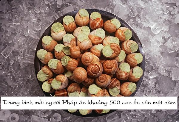 24 sự thật thú vị về nước Pháp