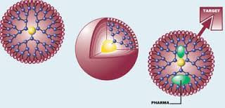 Các hạt nano dendrimer sẽ đóng gói vắc xin và mang chúng đến mục tiêu.