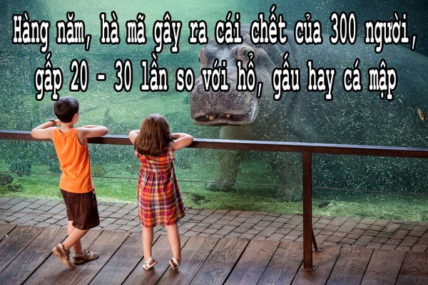 Giật mình về các nguyên nhân khiến con người chết oan