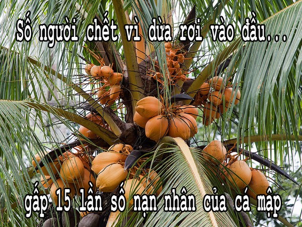 Giật mình về các nguyên nhân khiến con người chết oan