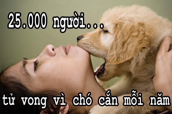 Giật mình về các nguyên nhân khiến con người chết oan