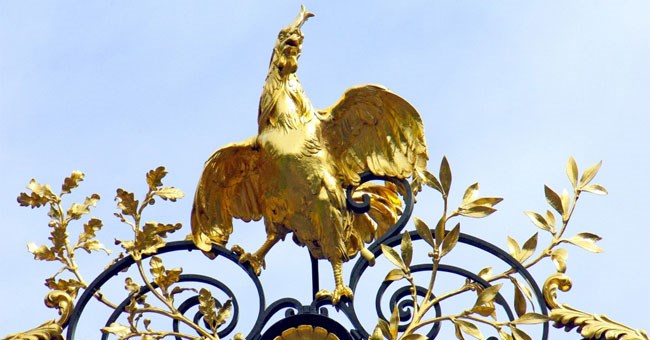 Truy tìm nguồn gốc gà trống Gô loa, biểu tượng của nước Pháp