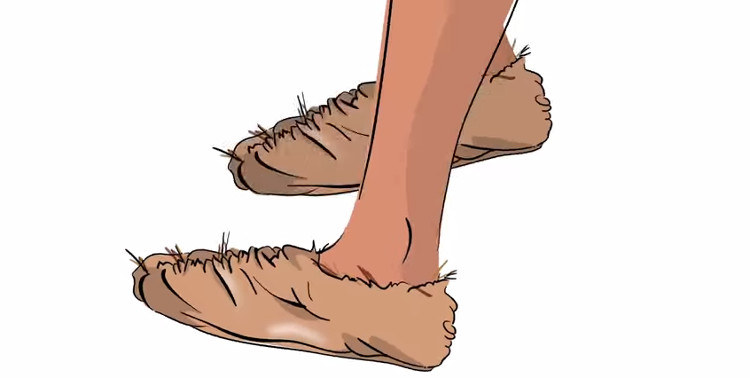 Giày truyền thống thường được làm từ da, gỗ, vải, nhưng giày hiện đại chủ yếu làm từ cao su, nhựa.