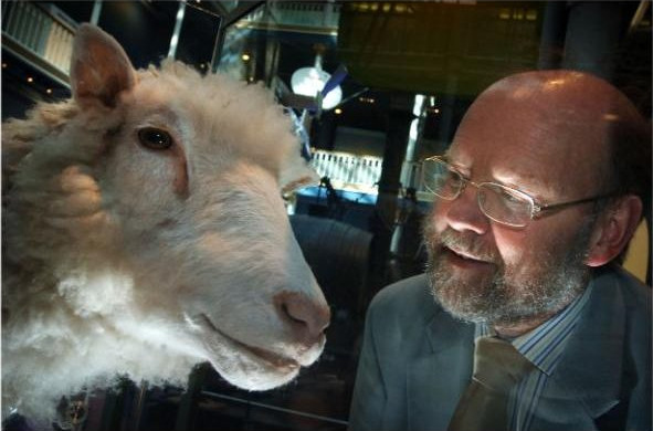 6 phát minh hậu cừu nhân bản Dolly