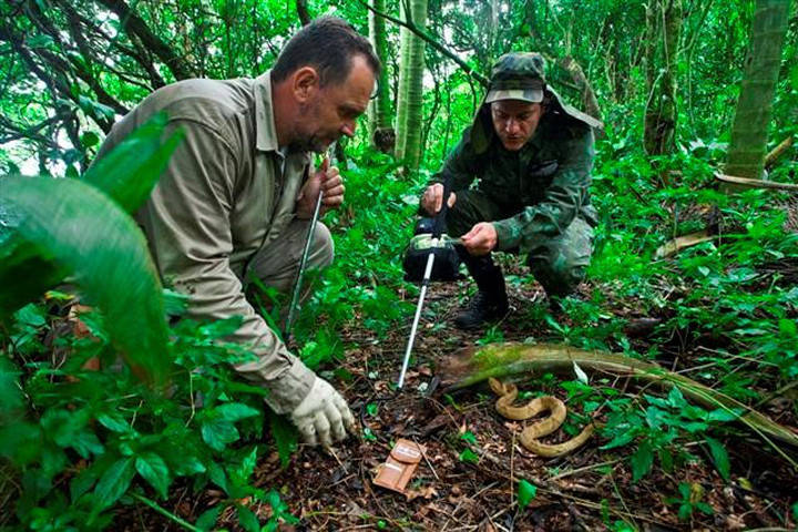 Đảo Rắn nguy hiểm tới mức hải quân Brazil đã cấm tất cả mọi người, trừ một số nhà khoa học, bước lên hòn đảo.