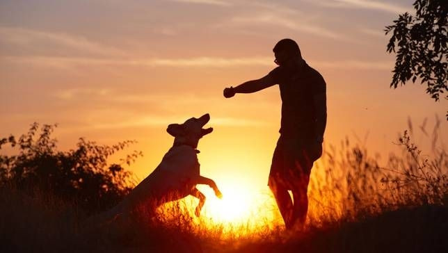 Phát hiện động trời về 