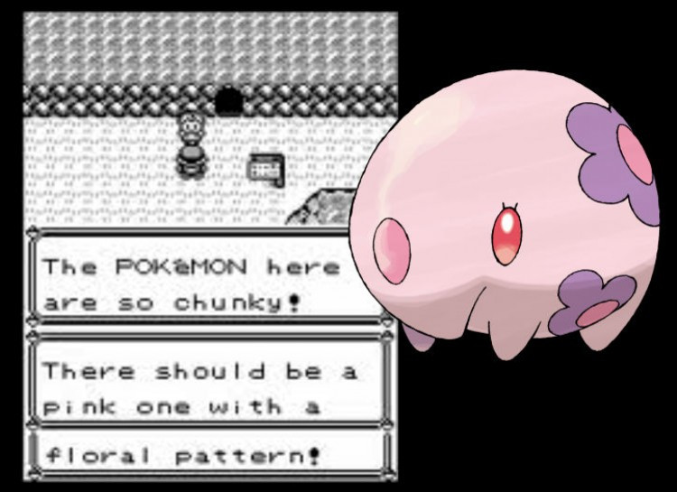 16 điều ít biết về Pokemon