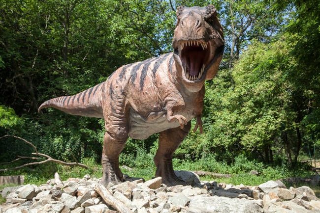 Phát hiện mới có thể giúp giải thích vì sao khủng long T-Rex có cánh tay rất nhỏ
