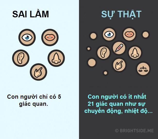 10 quan niệm sai lầm phổ biến về cơ thể người