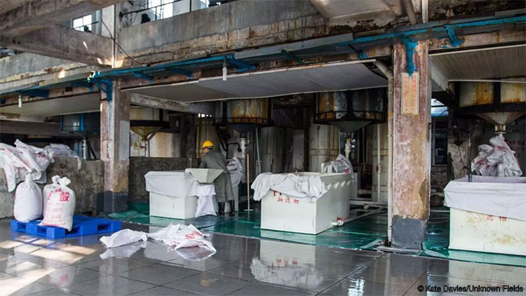 Sự thật về kim loại giúp Trung Quốc tăng trưởng nhanh nhưng cũng dần hủy hoại đất nước này