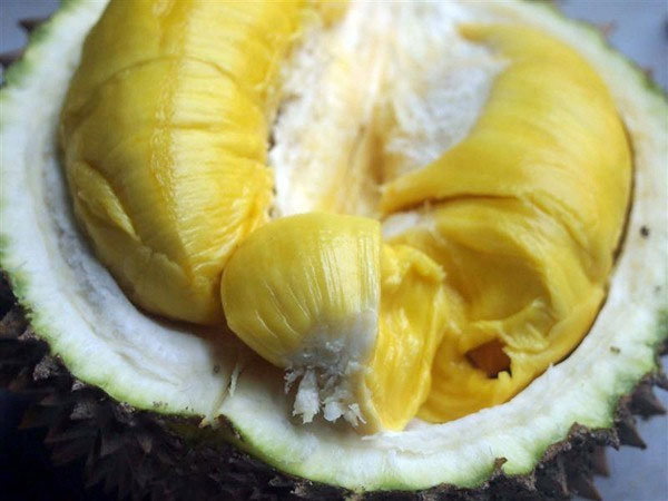 Chiêu phân biệt sầu riêng chín bằng hóa chất ít ai biết