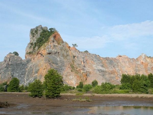 Chuyên gia quốc tế cảnh báo nguy cơ với các loài đặc hữu núi đá vôi Hòn Chông