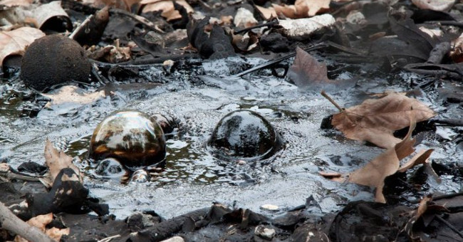 Hồ nước kỳ lạ chứa hàng triệu tấn "vàng đen", khai thác 200 năm cũng chưa hết