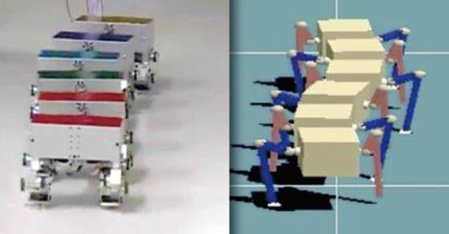 Phát triển robot nhiều chân lấy cảm hứng từ loài rết