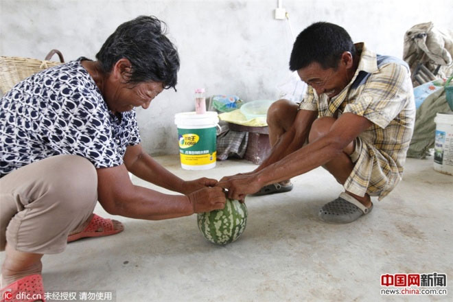 Dưa hấu Trung Quốc nảy như bóng cao su khi ném