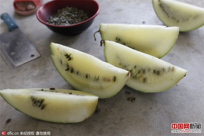 Dưa hấu Trung Quốc nảy như bóng cao su khi ném