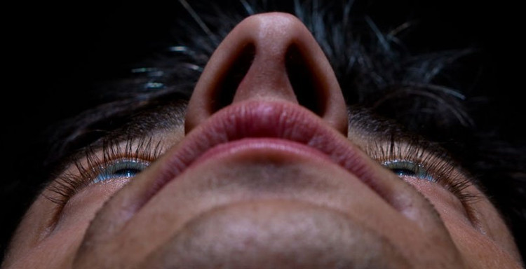 Siêu vi khuẩn MRSA và vi khuẩn mới Staphylococcus lugdunensis hiếm khi cùng xuất hiện trong mũi.