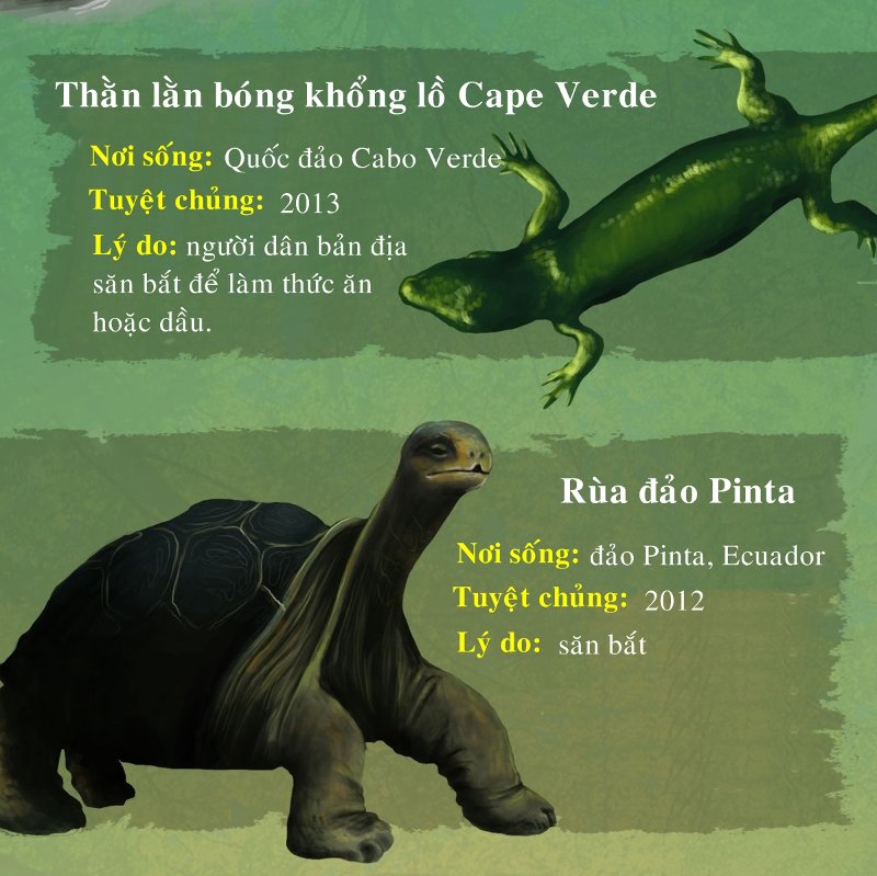 Rùa đảo Pinta tuyệt chủng do bị săn bắt quá mức.