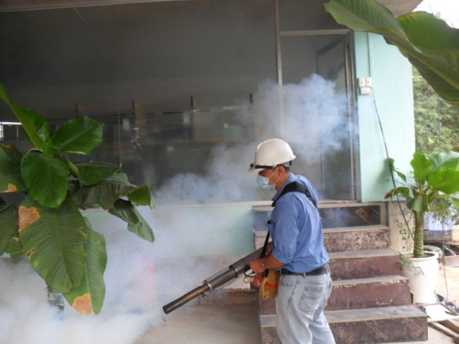 FDA cho phép dùng muỗi biến đổi gene để chống dịch Zika tại Mỹ