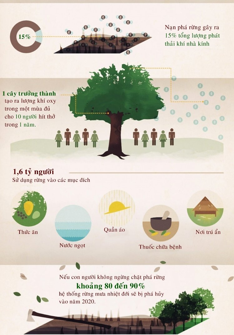 Hiện trạng phá rừng trên thế giới