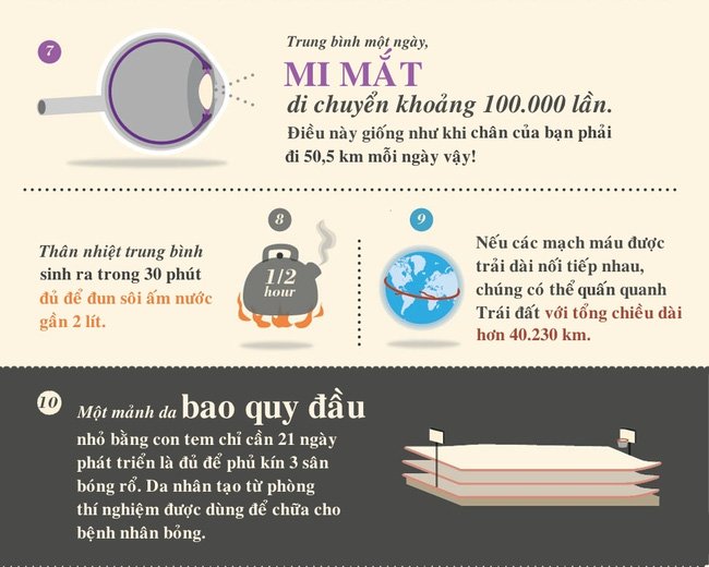 Trung bình một ngày mi mắt di chuyển khoảng 100.000 lần.