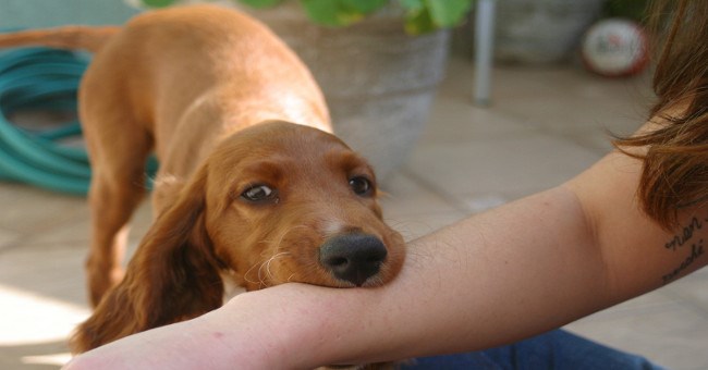 Tổng hợp tin tức hay nhất tuần 04/08