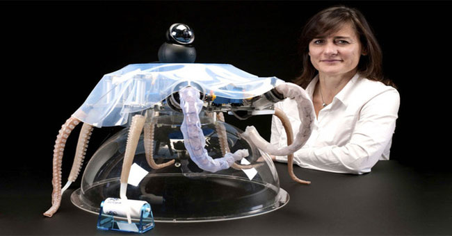 Giới thiệu robot bạch tuộc mới có thể di chuyển linh hoạt như "hàng thật"