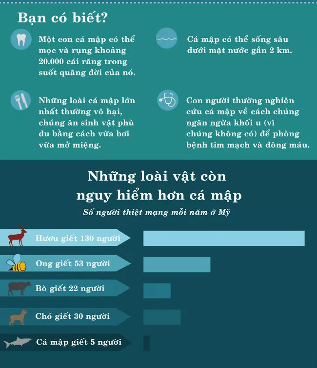 Cá mập có phải là sinh vật nguy hiểm nhất quả đất?