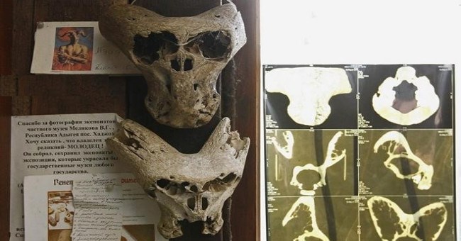 Phát hiện 2 đầu lâu bí ẩn nghi của người ngoài hành tinh