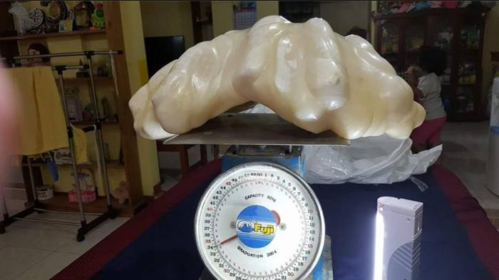 Khối ngọc trai 34kg trong nhà ngư dân Philippines