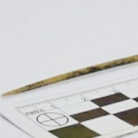 Tìm thấy kim khâu tự chế 50.000 tuổi vẫn dùng tốt