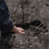 Phát hiện dấu chân người khổng lồ hóa thạch tại miền Tây Trung Quốc