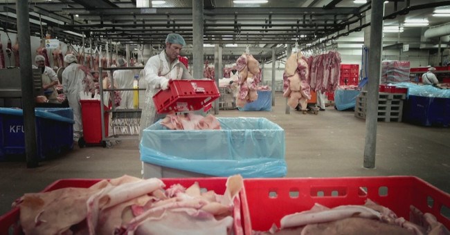 Chất phụ gia thực phẩm gelatin được sản xuất thế nào?